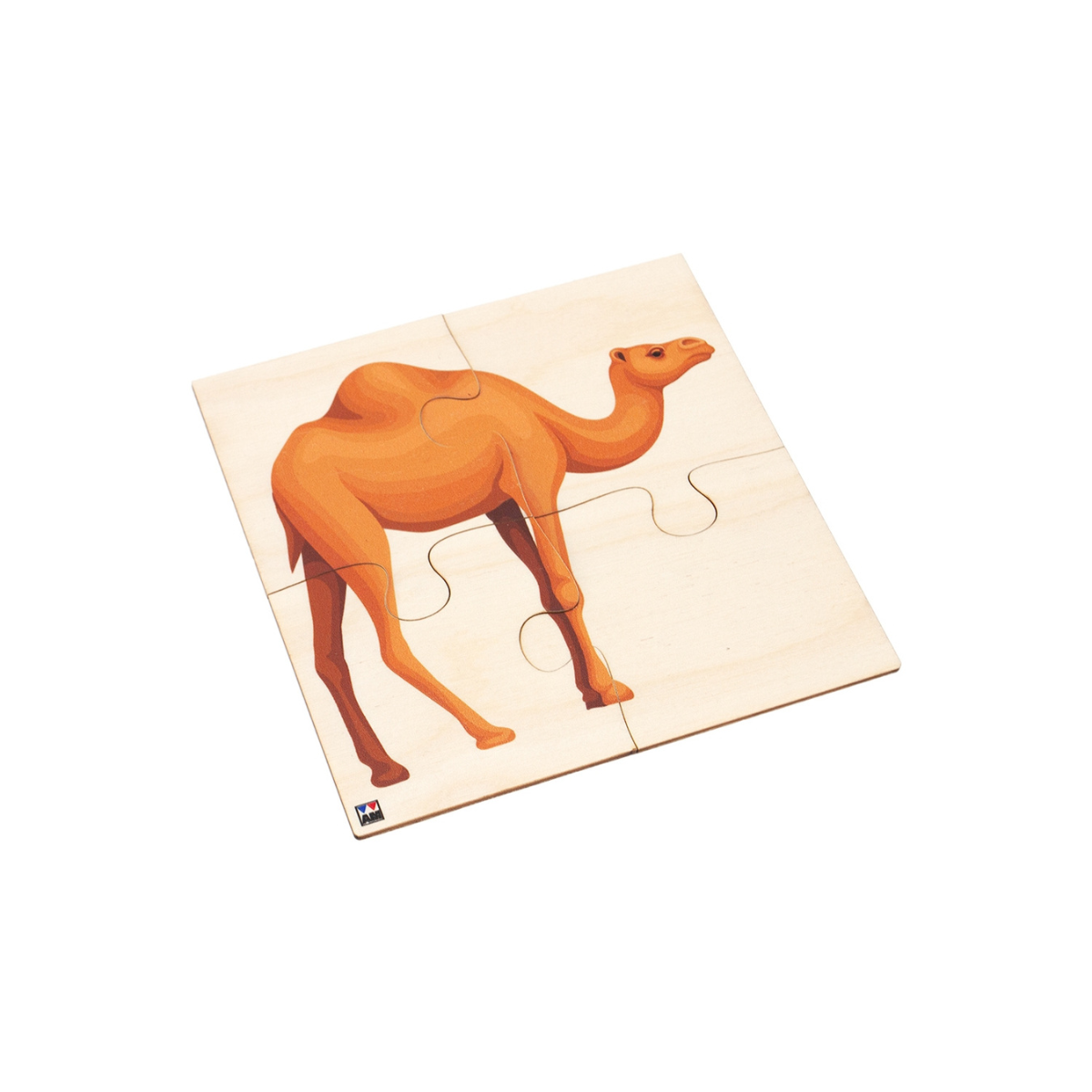 Animals of UAE: Camel Puzzle