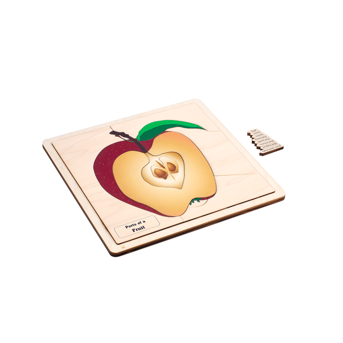 Parts of a Fruit Puzzle with Nomenclature Cards (3-6)