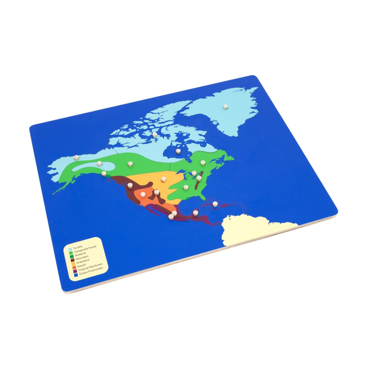 Biomes Puzzle Map of North America with Control Chart