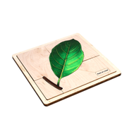 Parts of a Leaf Puzzle with Nomenclature Cards (Printed) (3-6)