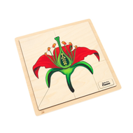 Parts of a Flower Puzzle with Nomenclature Cards (Printed) (3-6)