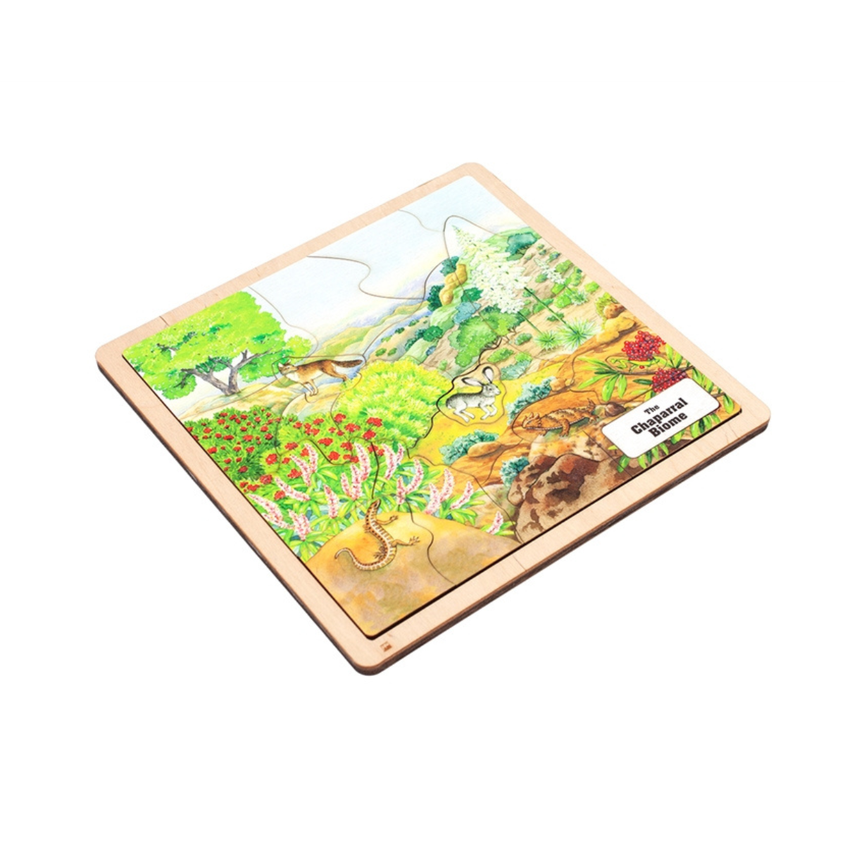 Chaparral Biome Puzzle