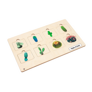Types of Cacti Puzzle