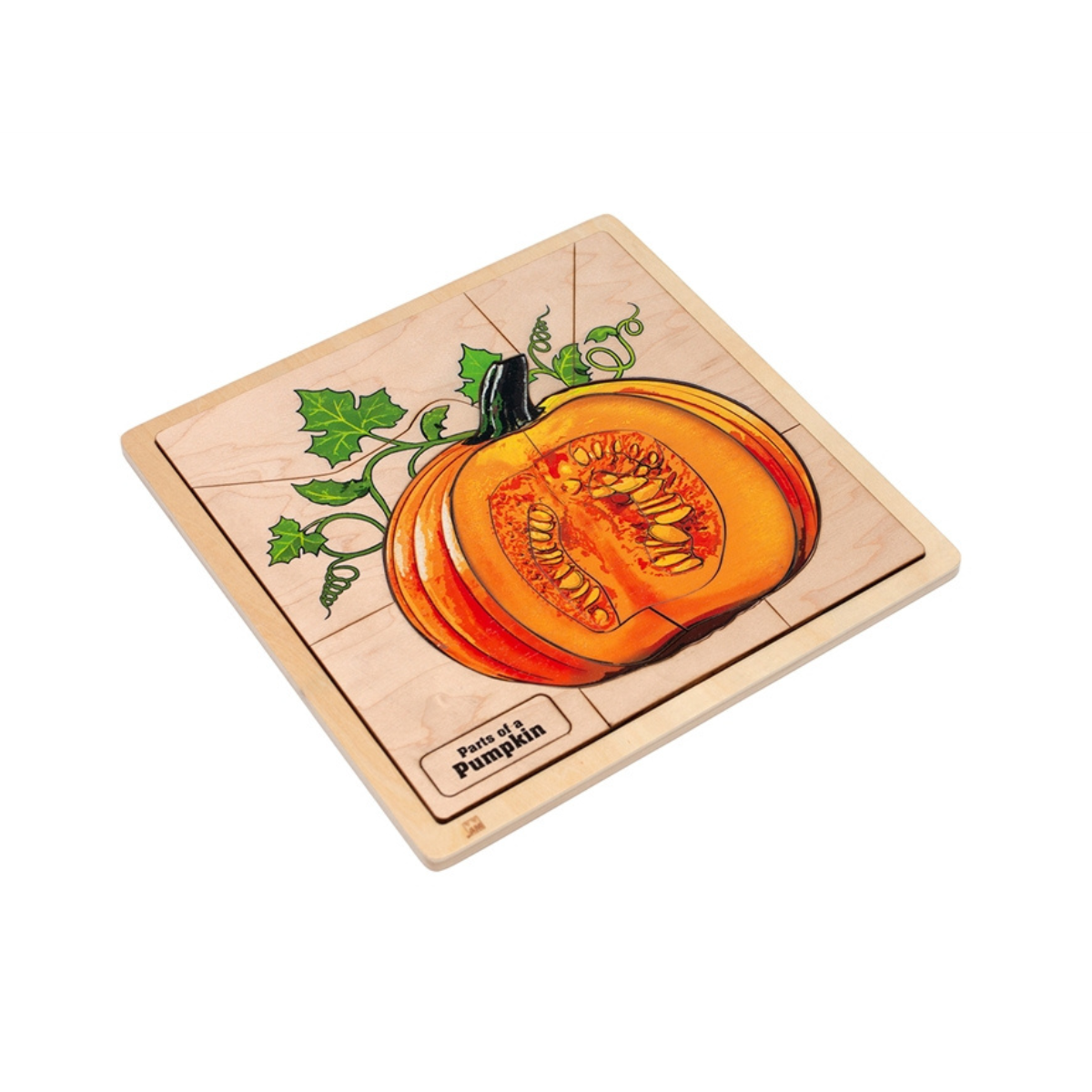Parts of a Pumpkin puzzle with Nomenclature Cards (3-6)