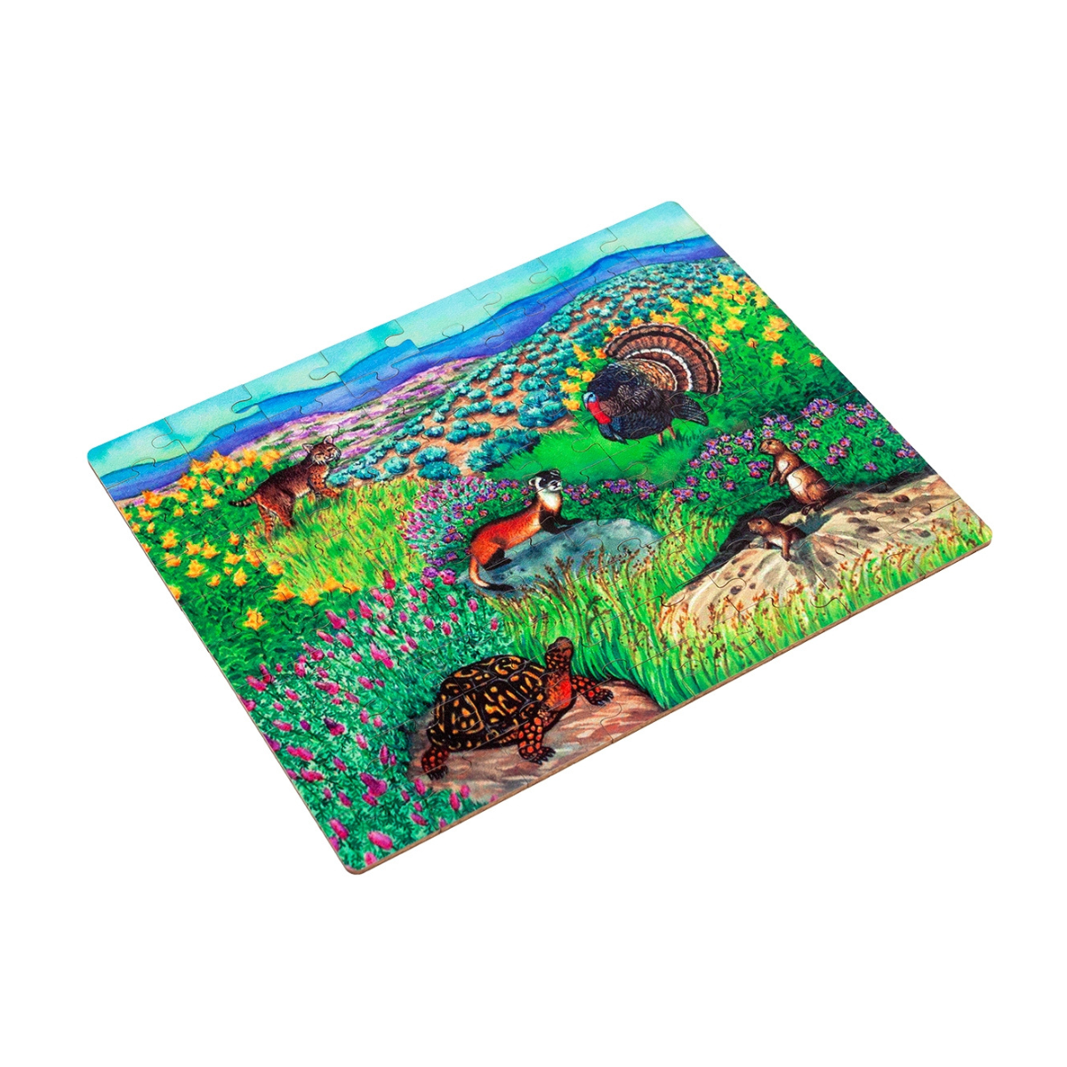 Temperate Grassland Biome - Jigsaw Puzzle