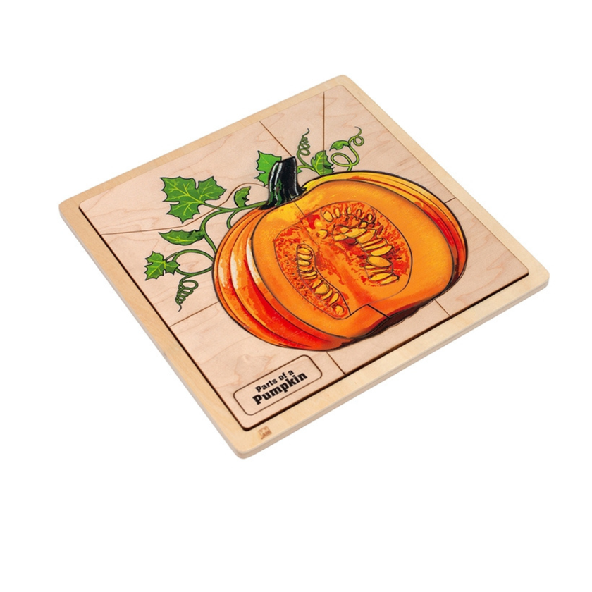 Parts of a Pumpkin Puzzle