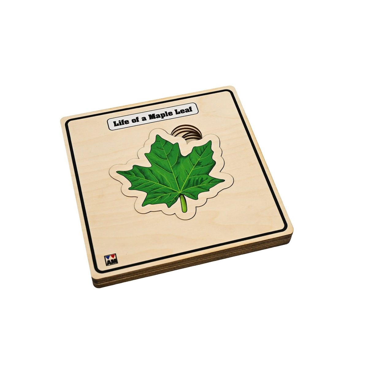 Life of a Maple Leaf Layered Puzzle