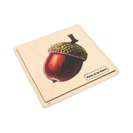Parts of an Acorn Puzzle