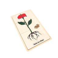 Part of a Plant Puzzle with Nomenclature Cards 3-6 (Printed)