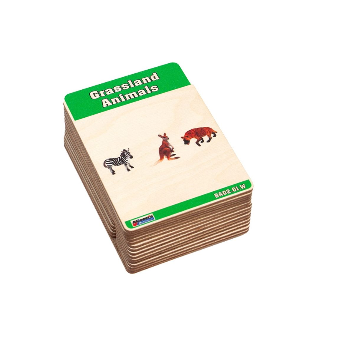 Grassland Animals Wooden Nomenclature Cards (3-6) (Printed)