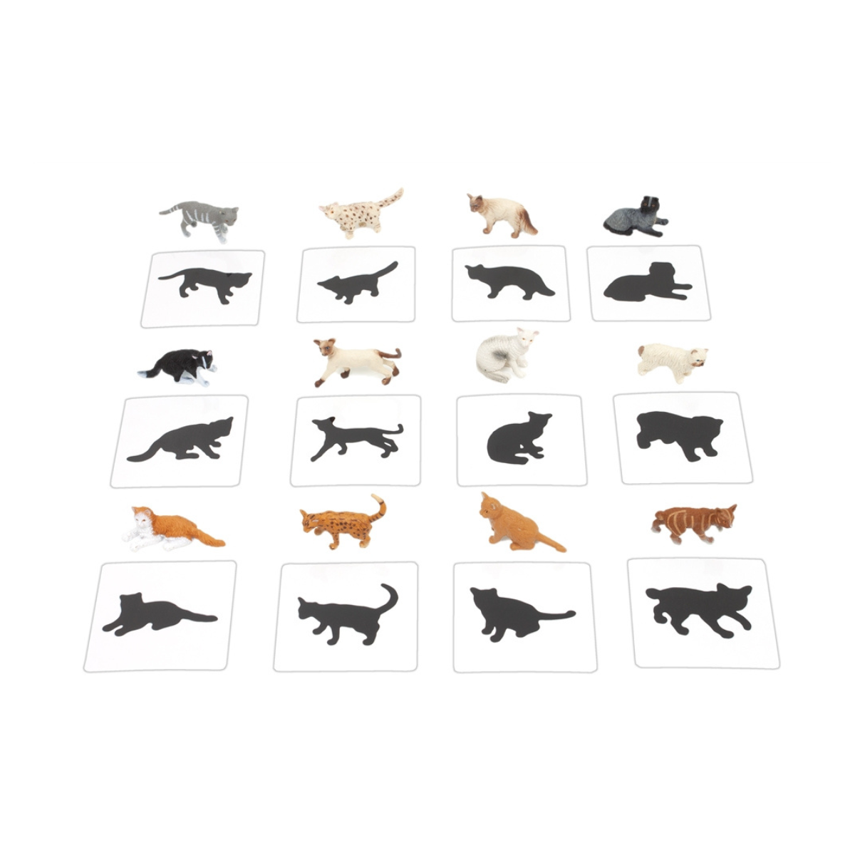 Object to Silhouette Matching: Domestic Cats