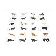 Object to Silhouette Matching: Domestic Cats
