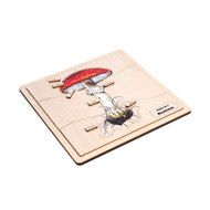 Parts of a Mushroom Puzzle