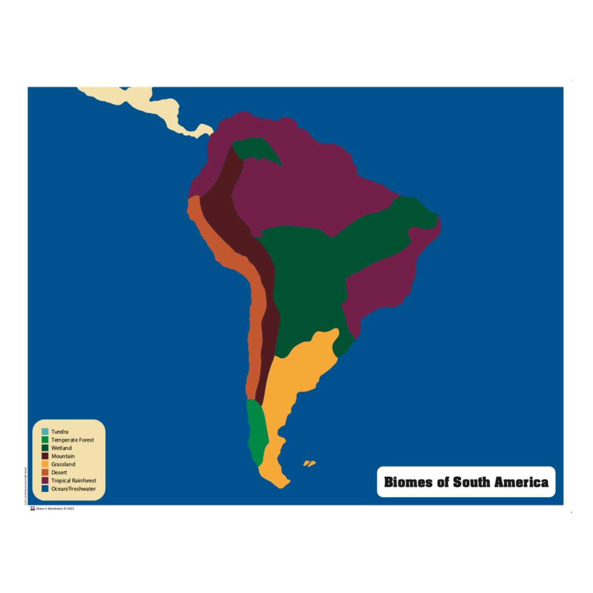 Biomes Puzzle Map of South America with Control Chart