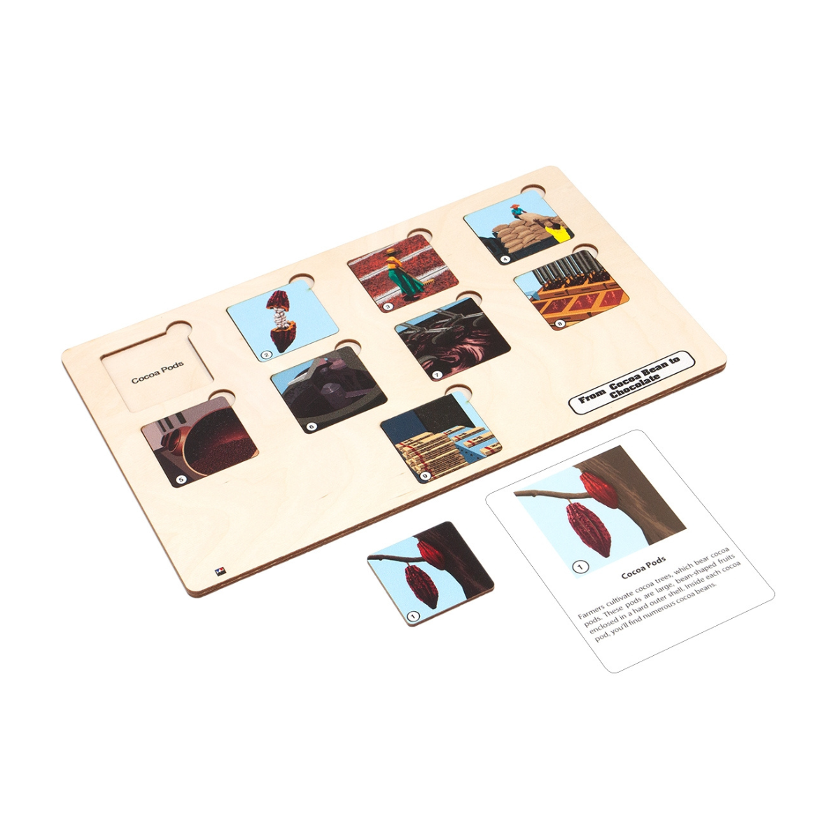 From Cocoa Bean to Chocolate Puzzle