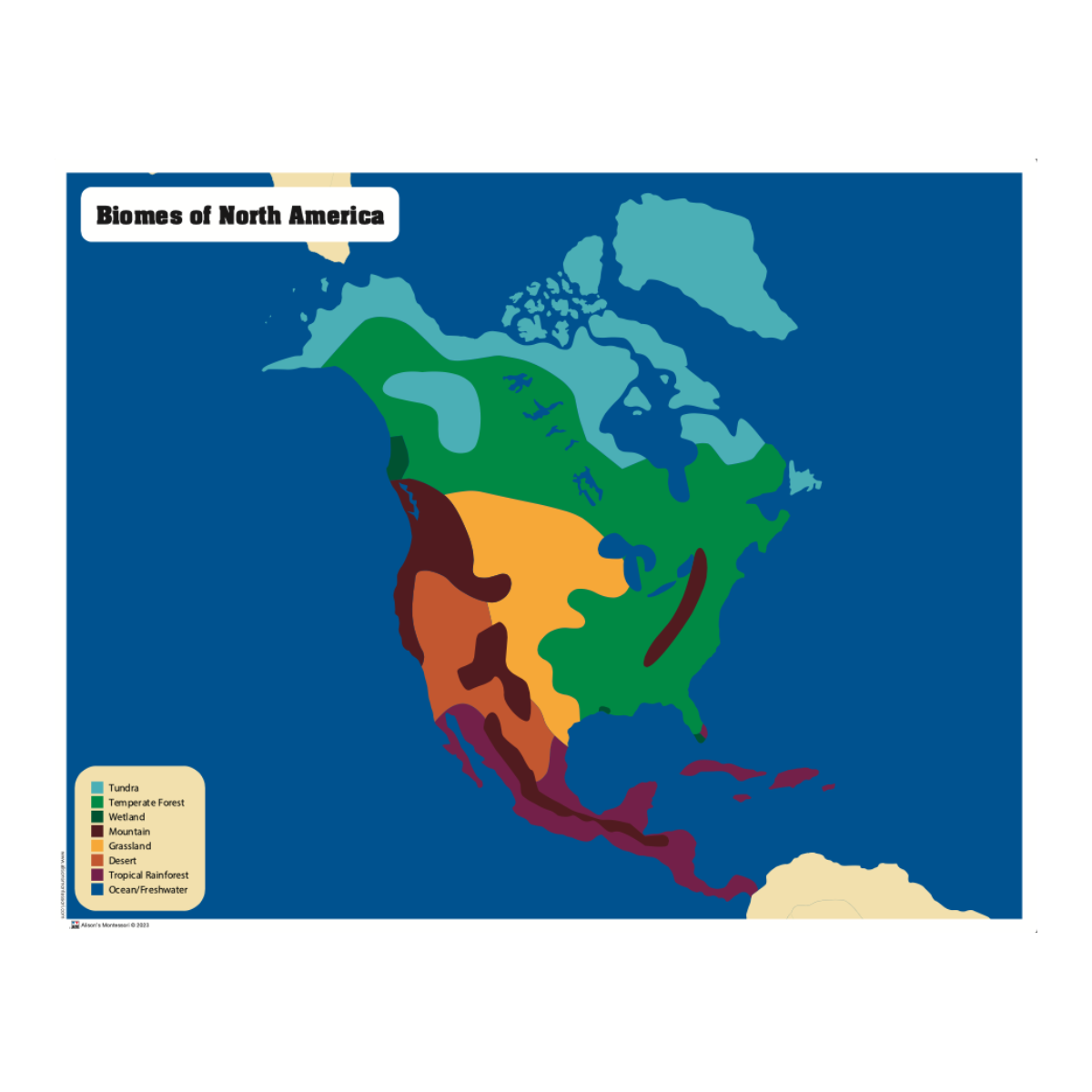 Biomes Puzzle Map of North America with Control Chart