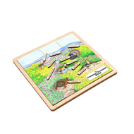 Temperate Grassland Biome Puzzle