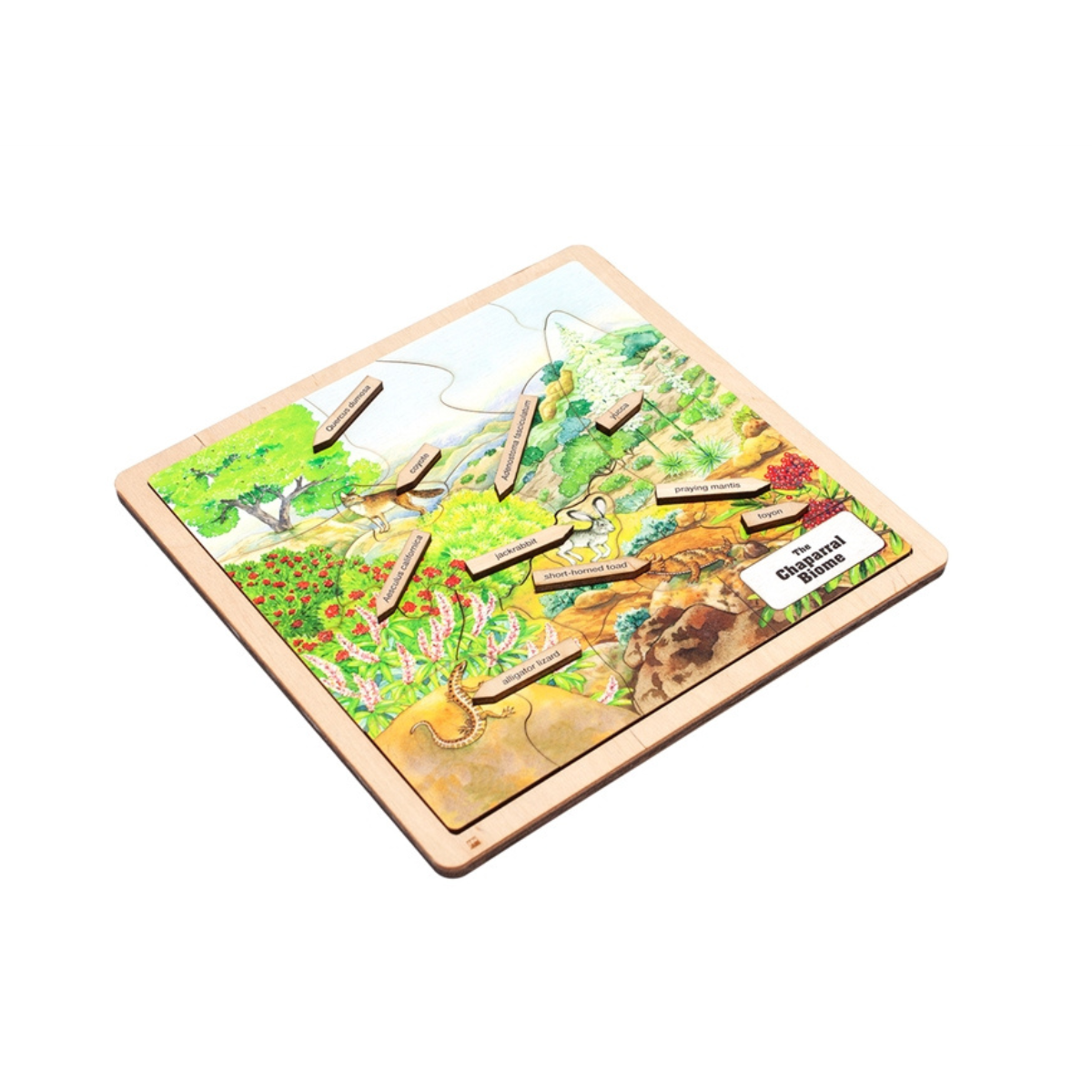 Chaparral Biome Puzzle