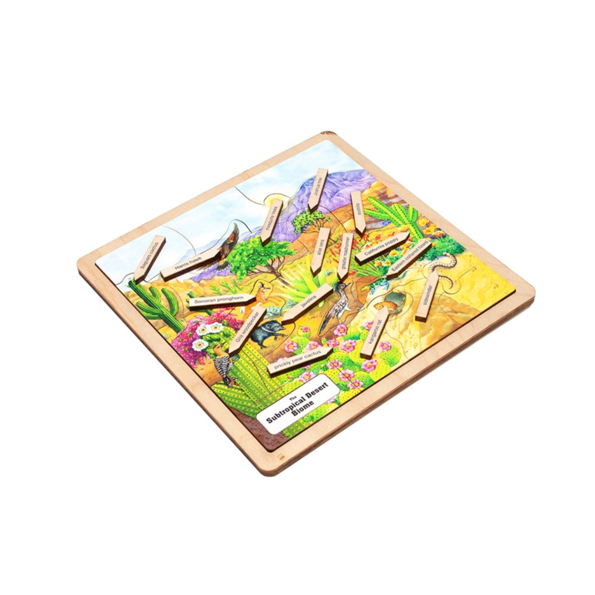 Subtropical Desert Biome Puzzle