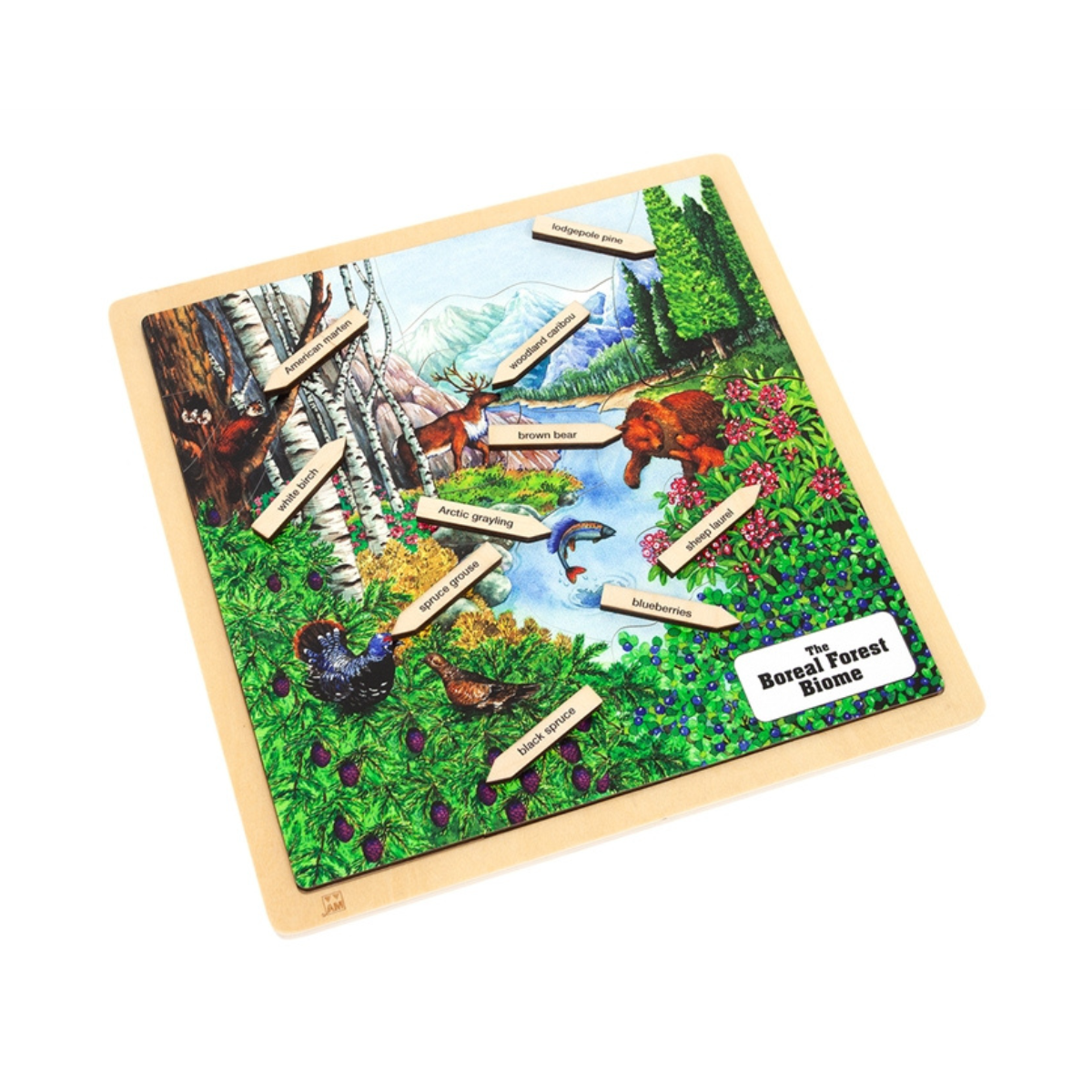 Boreal Forest Biome Puzzle