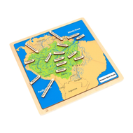 Amazon River Basin Puzzle