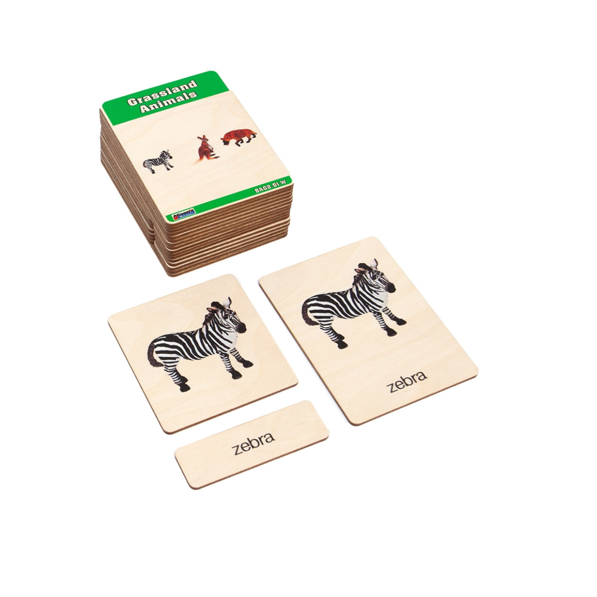 Grassland Animals Wooden Nomenclature Cards (3-6) (Printed)