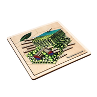 The Structure of a Leaf Puzzle with Nomenclature Cards (3-6)