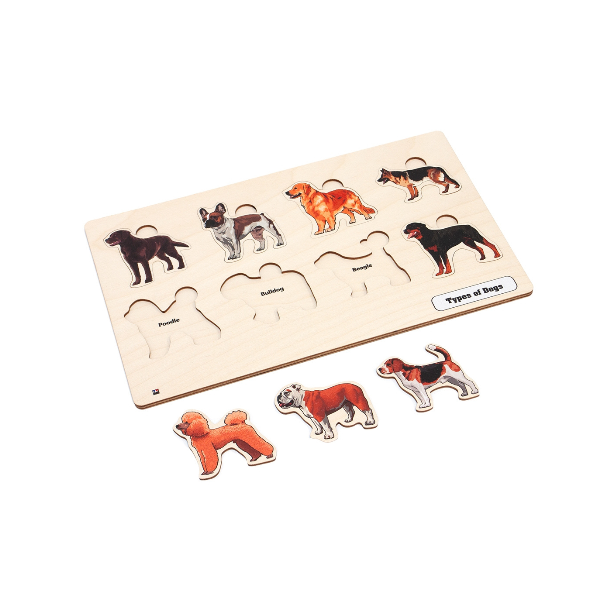 Types of Dogs Puzzle