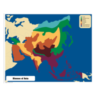 Biomes Puzzle Map of Asia with Control Chart