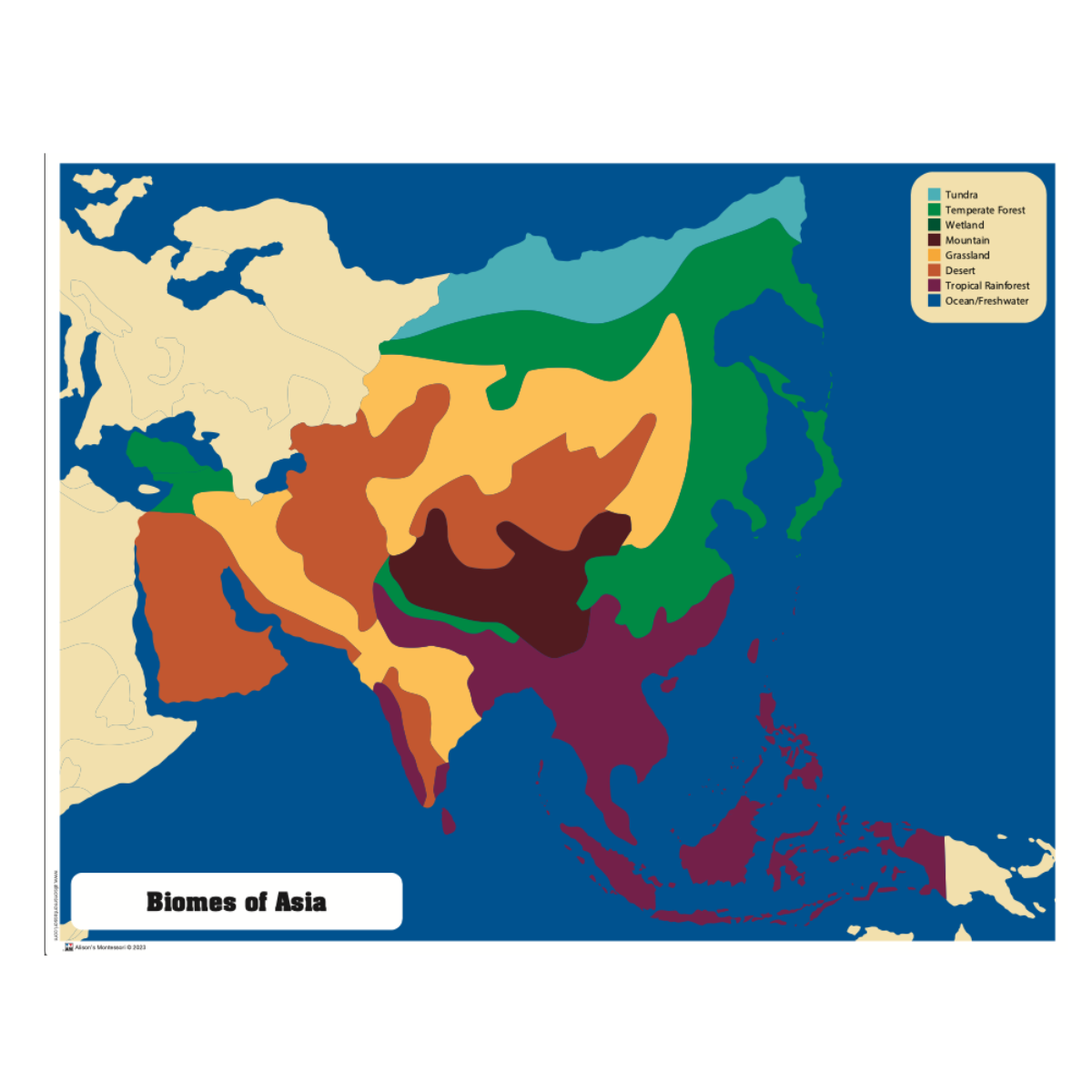 Biomes Puzzle Map of Asia with Control Chart