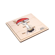 Parts of a Mushroom Puzzle with Nomenclature Cards (3-6)