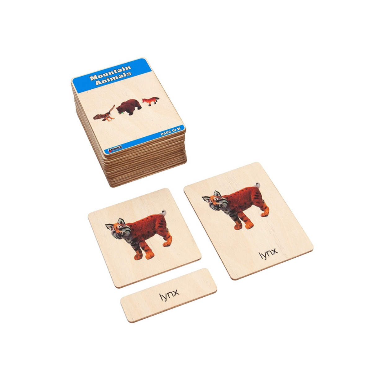 Mountain Animals Wooden Nomenclature Cards (3-6) (Printed)