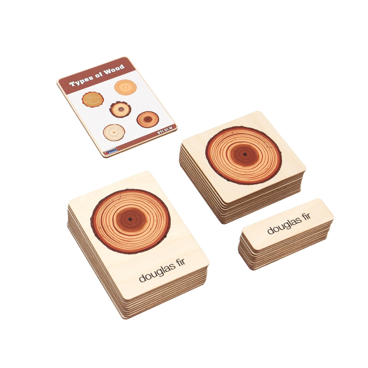 Types of Wood Wooden Nomenclature Cards (3-6)