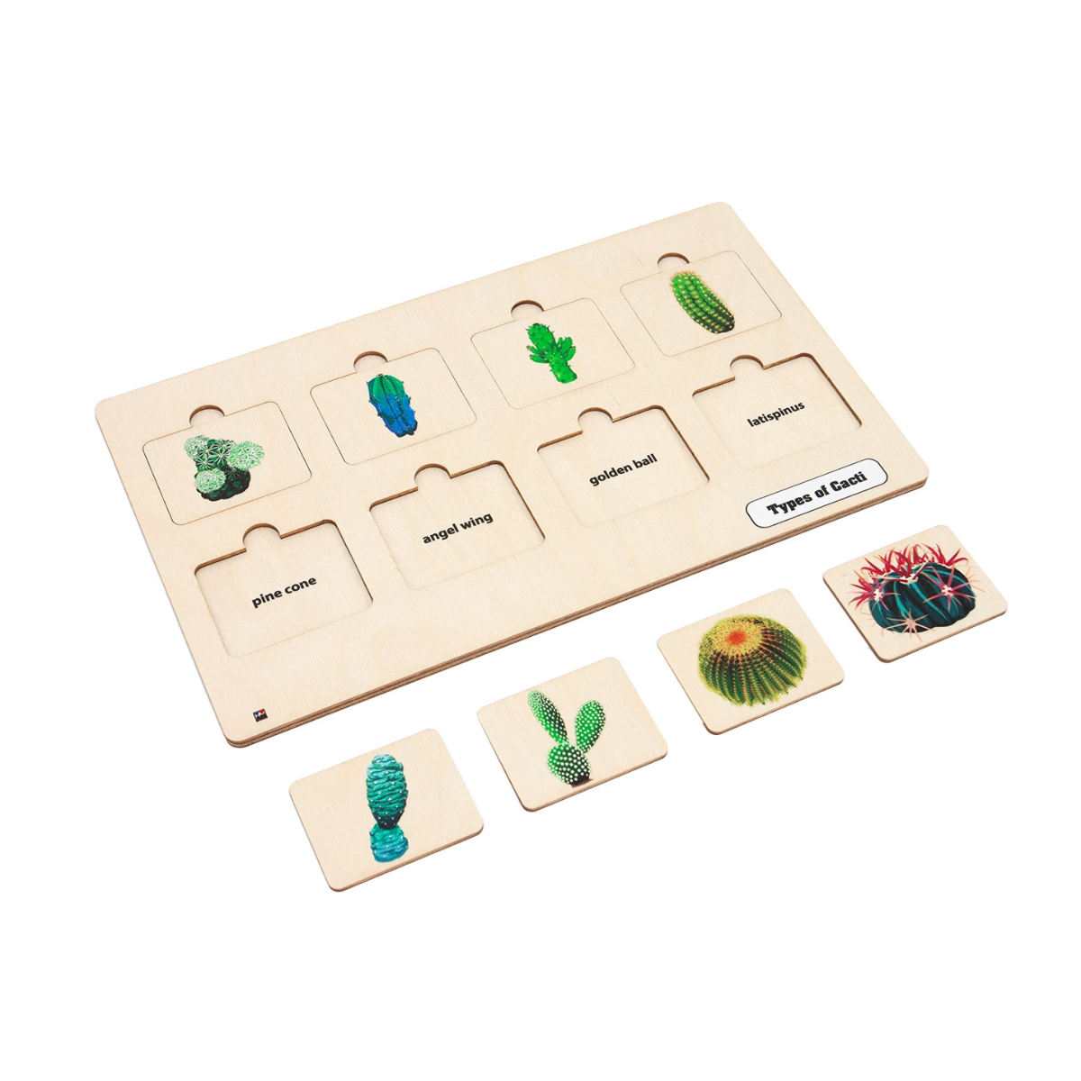 Types of Cacti Puzzle