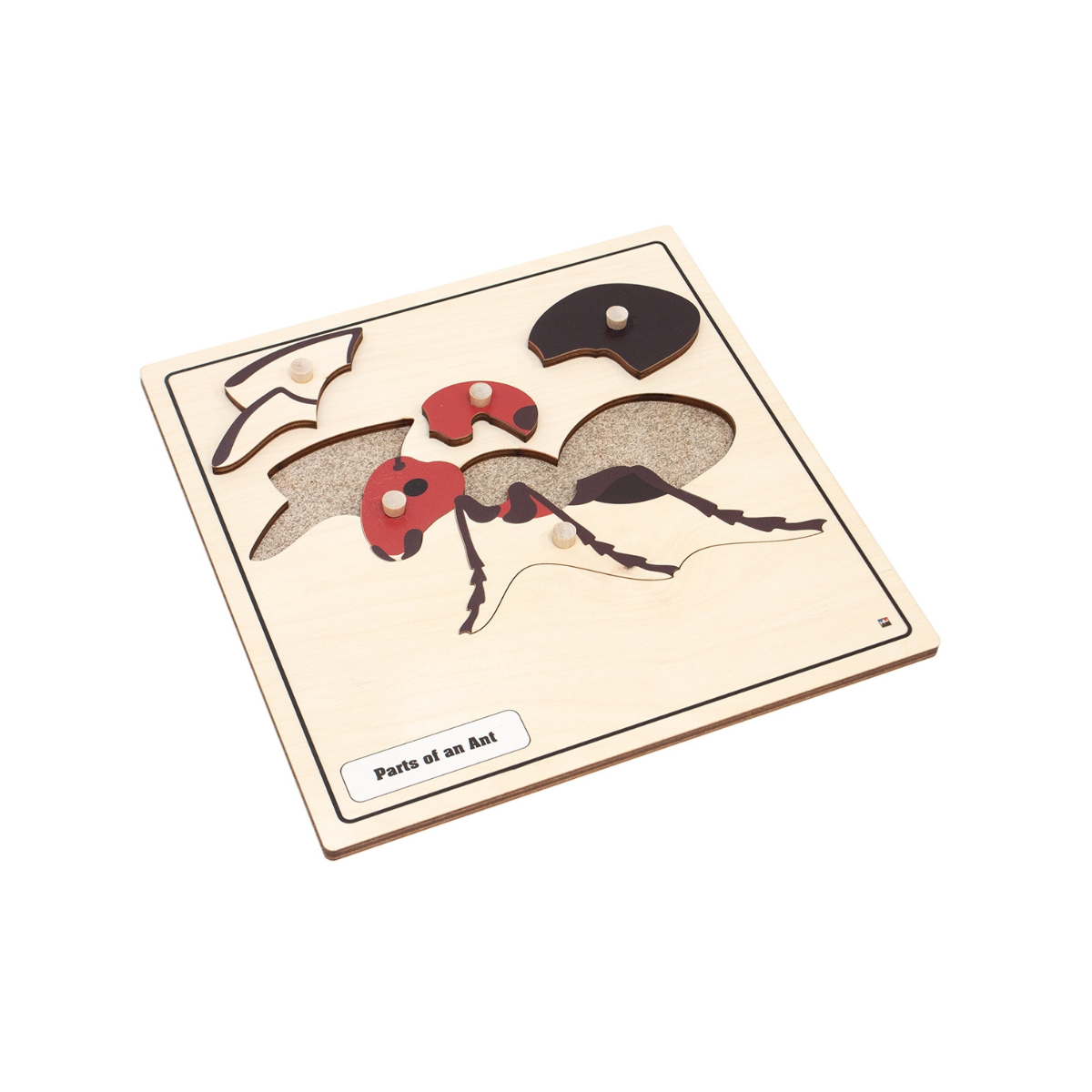 Parts of an Ant Knobbed Puzzle
