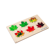 Life of a Maple Leaf Puzzle