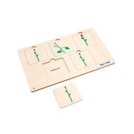 Types of Buds Puzzle with Nomenclature Cards 6-9 (Printed)