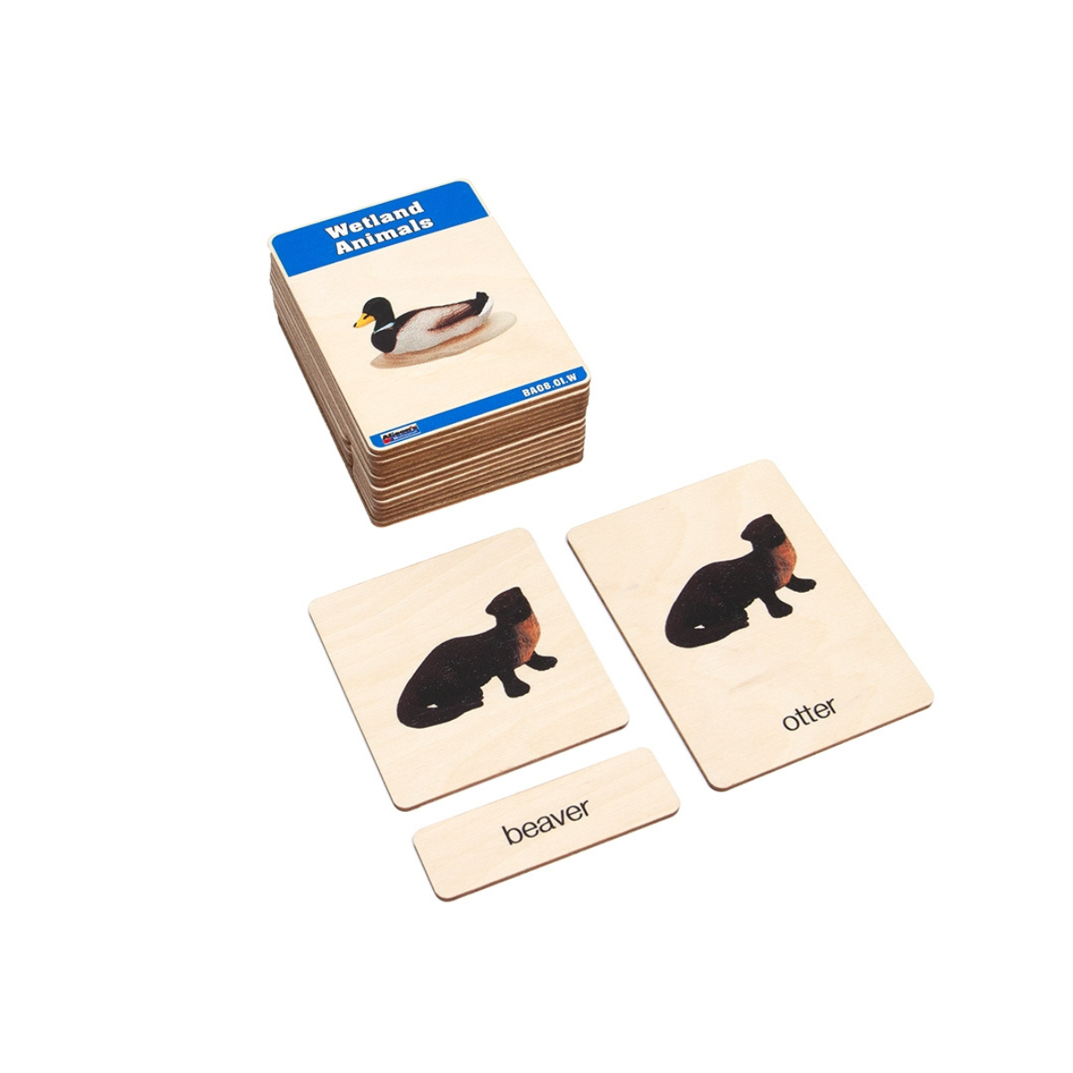 Wetlands Animals Wooden Nomenclature Cards (3-6) (Printed)