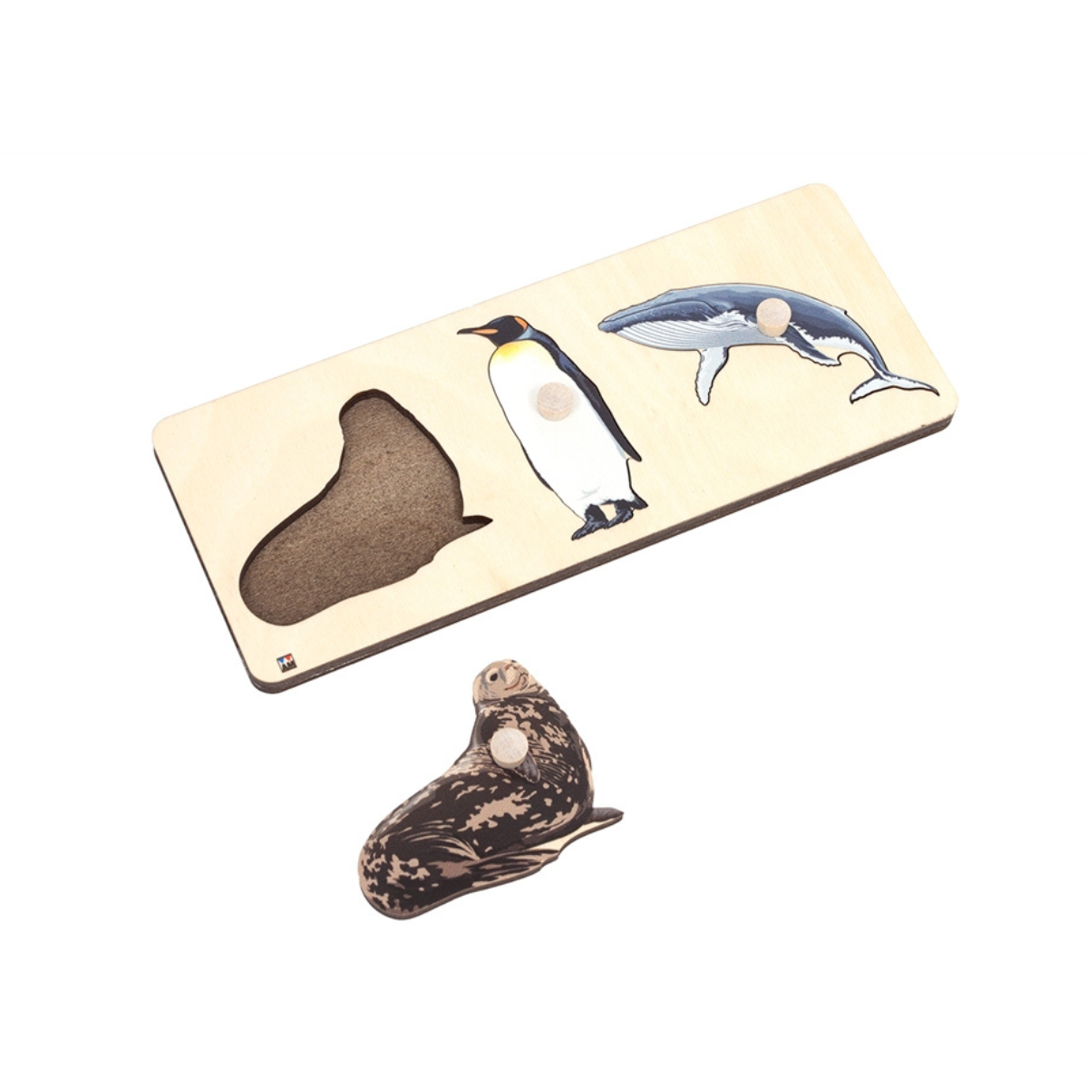 Animals of Antarctica Puzzle