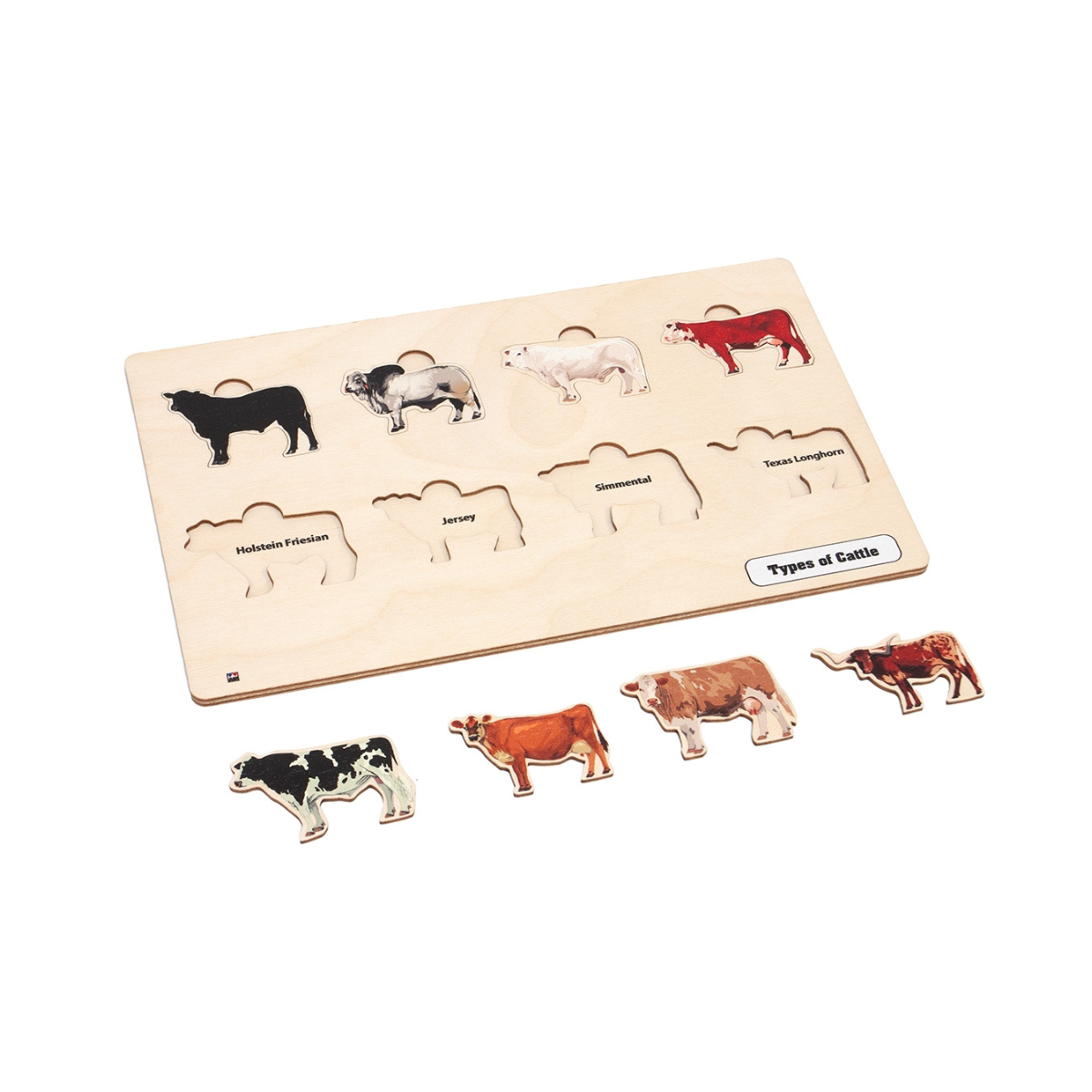 Types of Cattle Puzzle