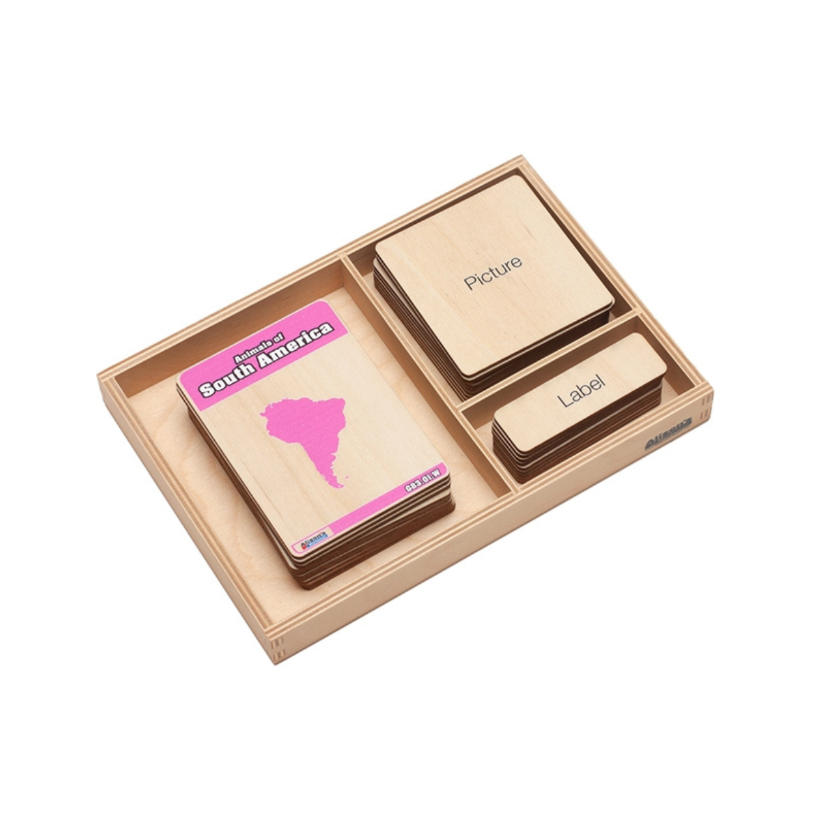 Animals of South America Wooden Nomenclature Cards (3-6) (Printed)