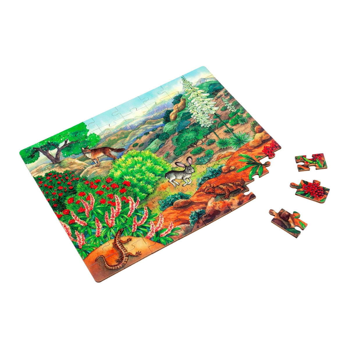 Chaparral Biome - Jigsaw Puzzle