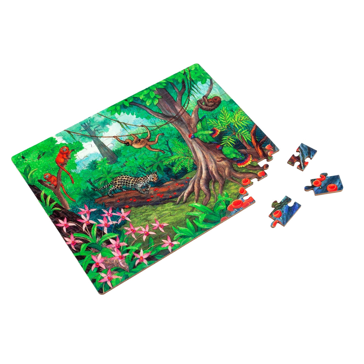 Tropical Rainforest Biome - Jigsaw Puzzle