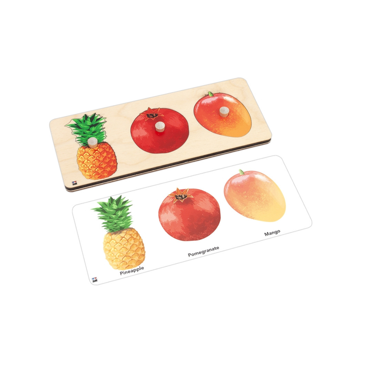 Types of Fruits Knobbed Puzzle