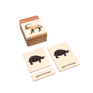 Desert Animals Wooden Nomenclature Cards (3-6) (Printed)