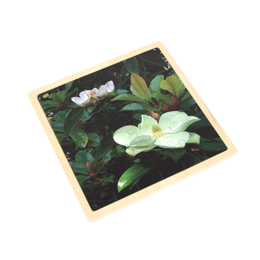 Magnolia - Jigsaw Puzzle