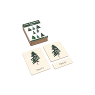 Types of Evergreen Trees Wooden Nomenclature Cards (3-6)