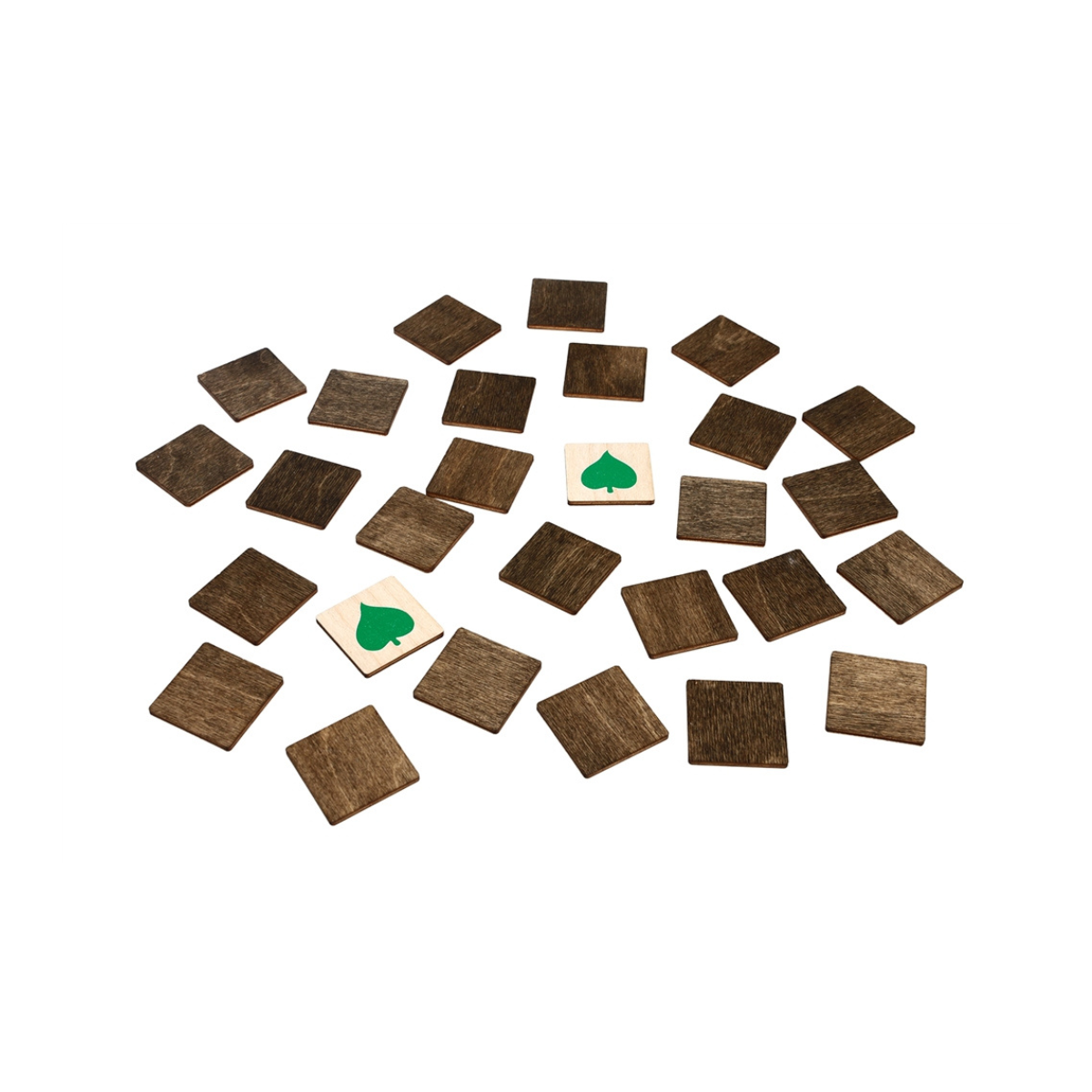 Wooden Memory Game: Types of Leaves