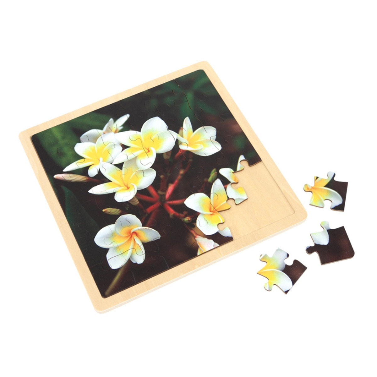 Plumeria - Jigsaw Puzzle