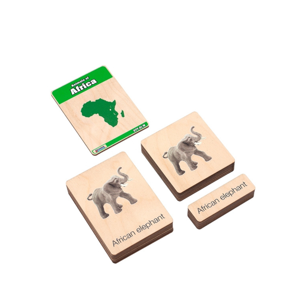 Animals of Africa Wooden Nomenclature Cards (3-6) (Printed)